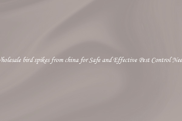 Wholesale bird spikes from china for Safe and Effective Pest Control Needs