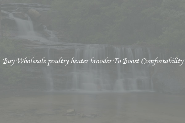 Buy Wholesale poultry heater brooder To Boost Comfortability