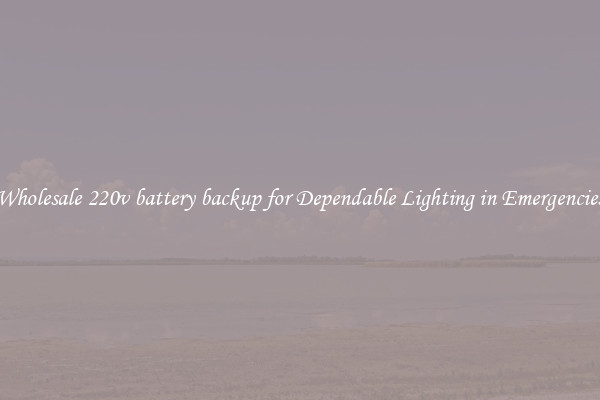 Wholesale 220v battery backup for Dependable Lighting in Emergencies
