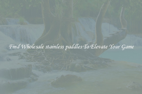 Find Wholesale stainless paddles To Elevate Your Game