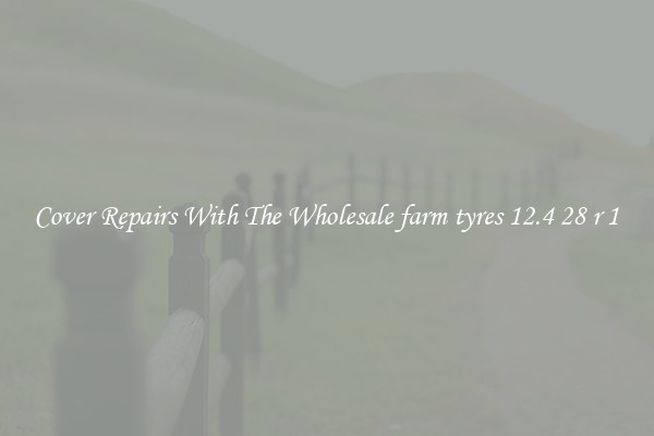  Cover Repairs With The Wholesale farm tyres 12.4 28 r 1 