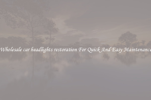 Wholesale car headlights restoration For Quick And Easy Maintenance
