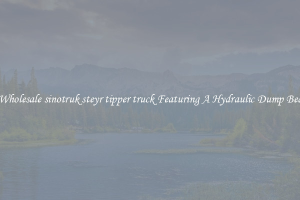 Wholesale sinotruk steyr tipper truck Featuring A Hydraulic Dump Bed