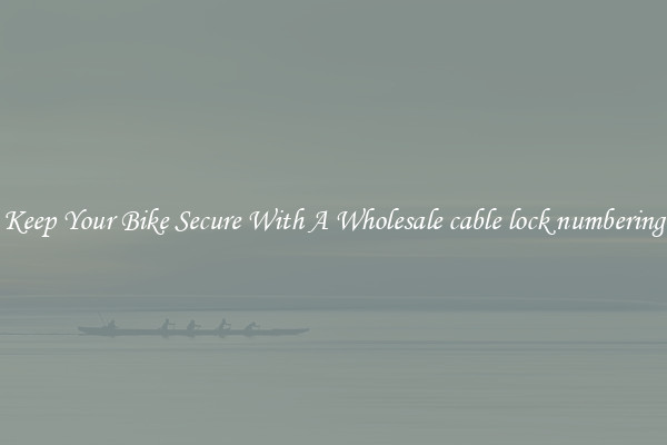 Keep Your Bike Secure With A Wholesale cable lock numbering