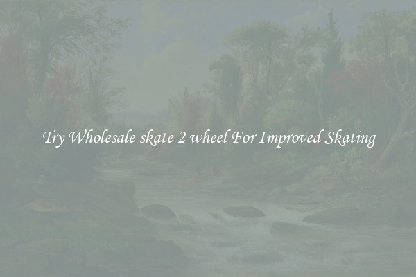 Try Wholesale skate 2 wheel For Improved Skating