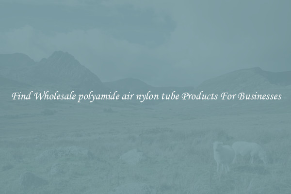 Find Wholesale polyamide air nylon tube Products For Businesses