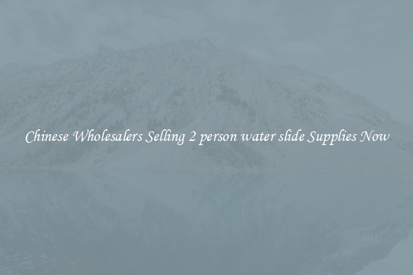 Chinese Wholesalers Selling 2 person water slide Supplies Now