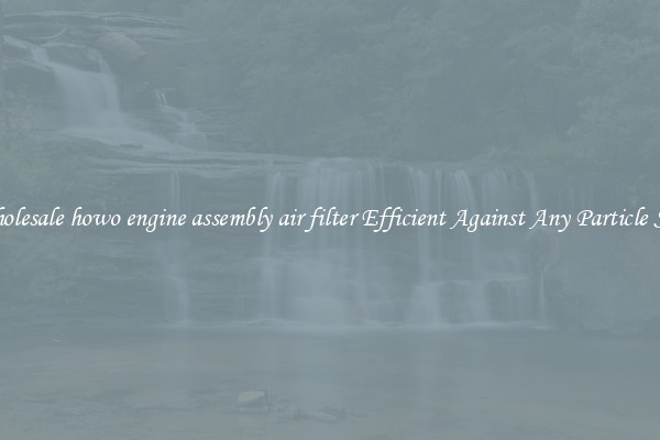 Wholesale howo engine assembly air filter Efficient Against Any Particle Size