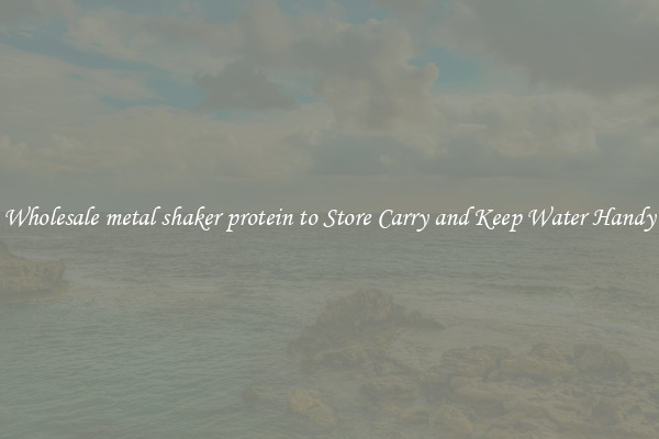Wholesale metal shaker protein to Store Carry and Keep Water Handy