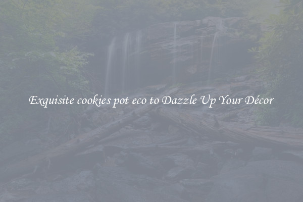 Exquisite cookies pot eco to Dazzle Up Your Décor 