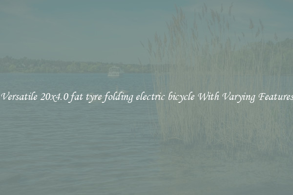 Versatile 20x4.0 fat tyre folding electric bicycle With Varying Features
