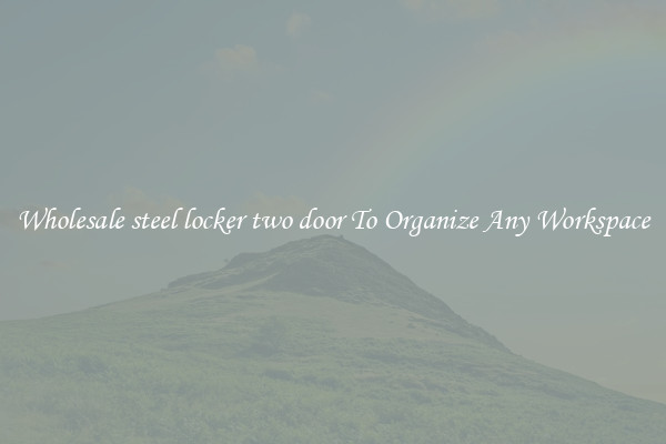 Wholesale steel locker two door To Organize Any Workspace