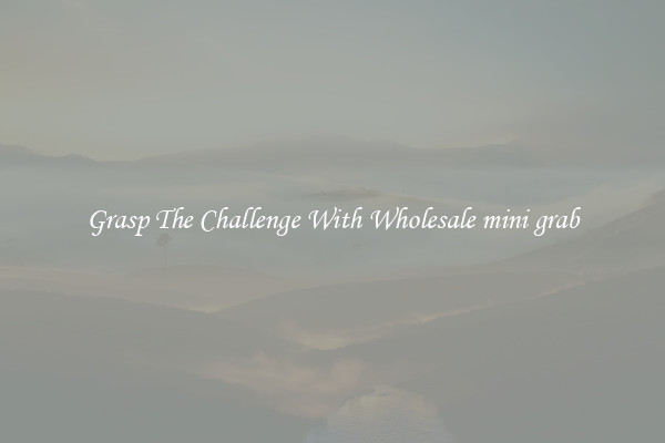 Grasp The Challenge With Wholesale mini grab