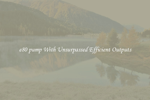 e80 pump With Unsurpassed Efficient Outputs