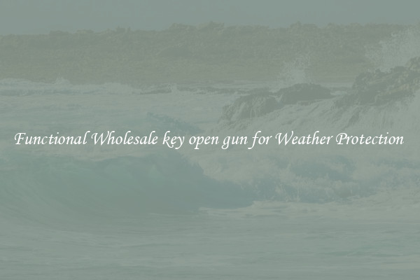 Functional Wholesale key open gun for Weather Protection 