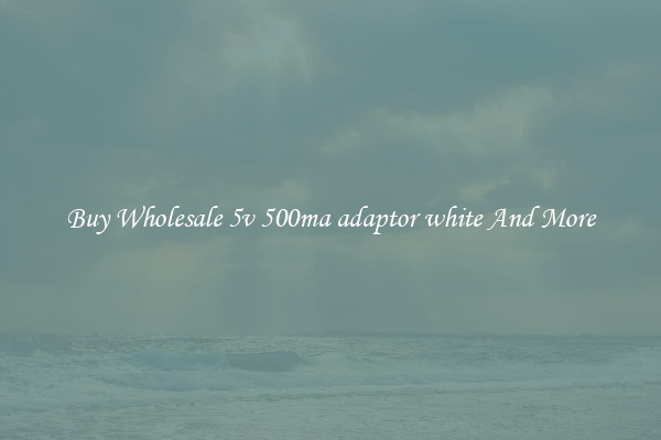 Buy Wholesale 5v 500ma adaptor white And More
