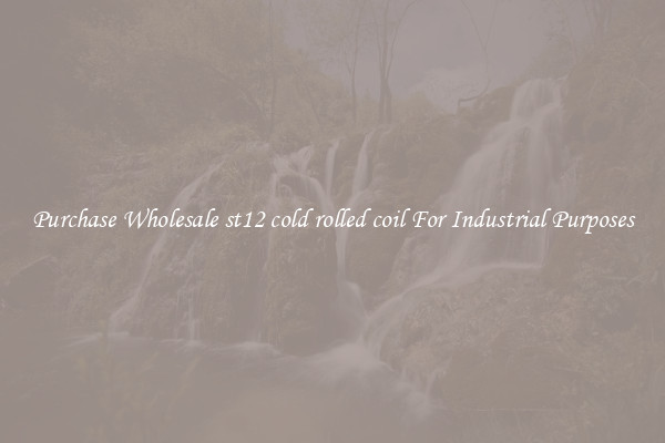 Purchase Wholesale st12 cold rolled coil For Industrial Purposes