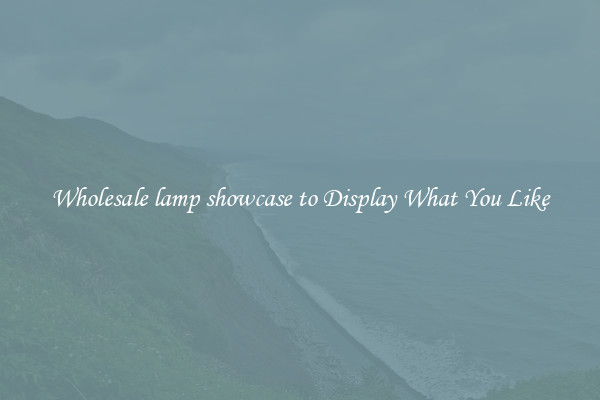 Wholesale lamp showcase to Display What You Like