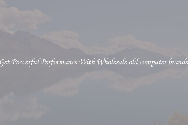 Get Powerful Performance With Wholesale old computer brands 