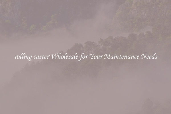 rolling caster Wholesale for Your Maintenance Needs